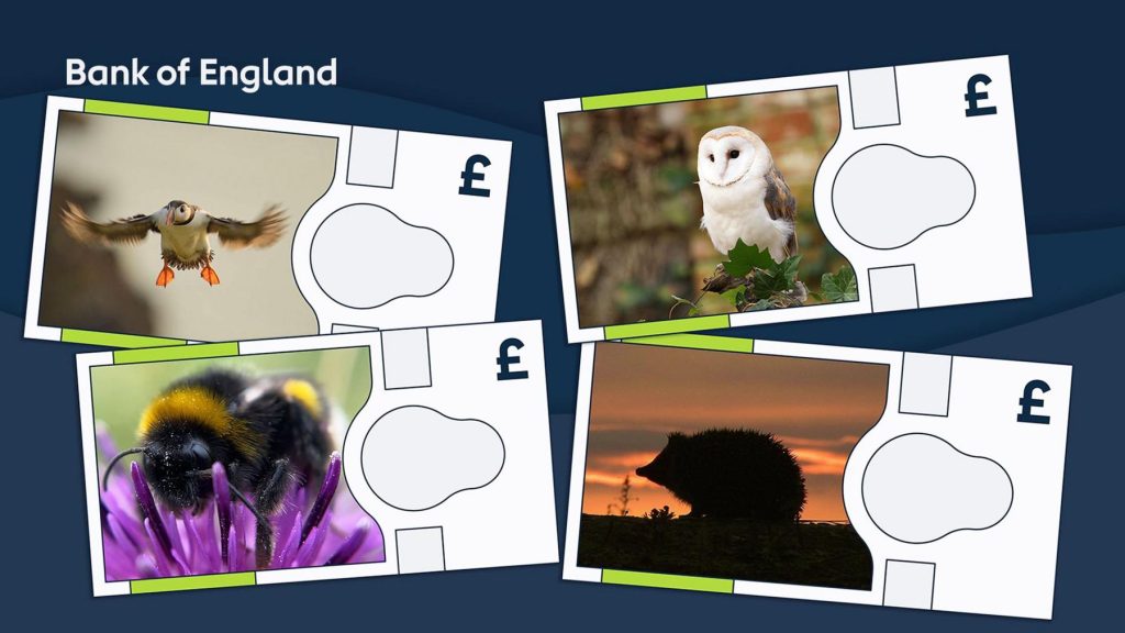 Undated handout photo issued by Bank of England of mock ups of the new bank notes. The Atlantic puffin, barn owl, buff-tailed bumblebee and European hedgehog will feature on the next series of banknotes, the Bank of England has announced. The first denomination from the new series will be launched over the next few years, the Bank said